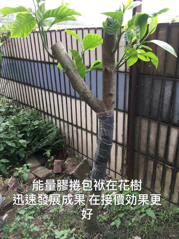 e28b41acdfaca489ad971faaadf5258d.jpg