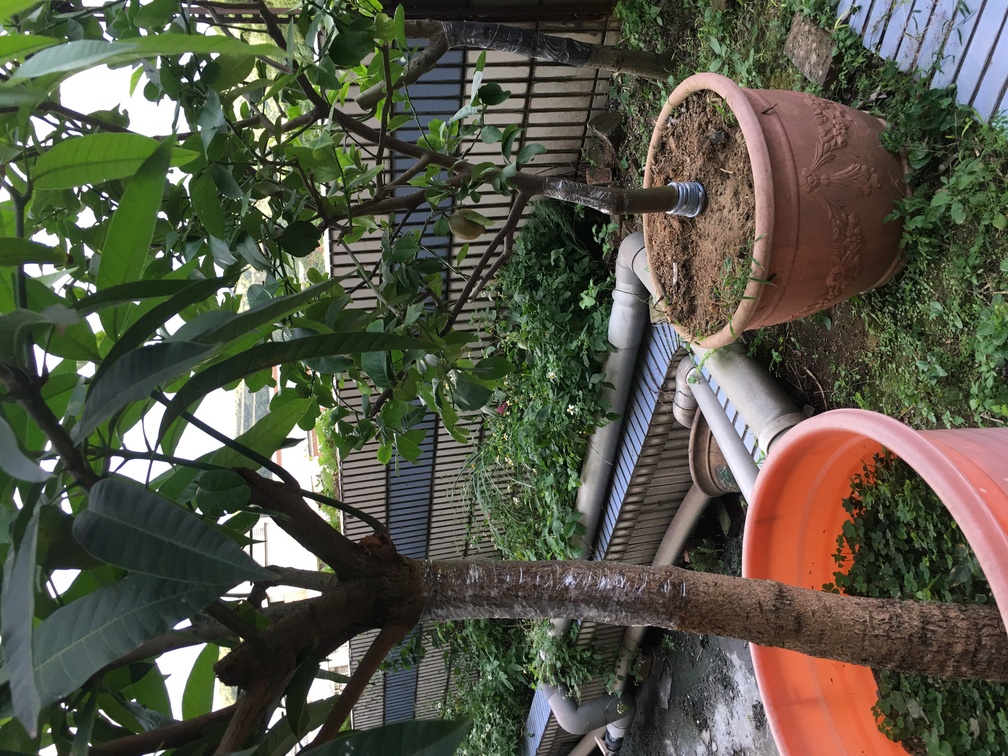 e3277bca39e61025a1bd936274ebbfe3.jpg